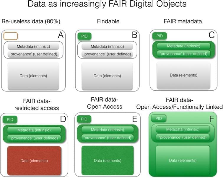 FAIR digital objects