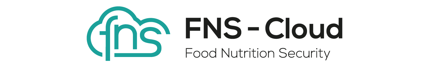 FNS cloud logo 1