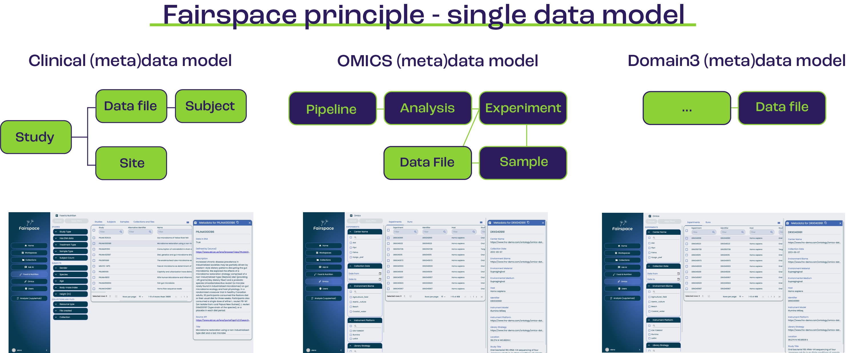 Figure 1. Fairspace can handle multiple data models an visualise the data in different Metadata view.