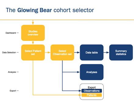 Glowing bear overview